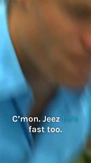 What happens when a huge python starts swimming in a backyard pool... and nobody knows where it came from