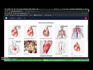 How to use Biodigital human