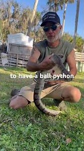 😂🤣😅🤣ball python removal