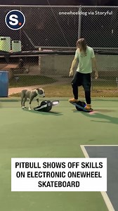 2M views · 111K reactions | Skating into the weekend like...‍了 | storyful | Facebook