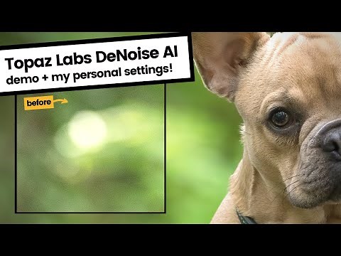 DeNoise AI Tutorial | How I get the most out of Topaz Labs DeNoise AI without destroying data!