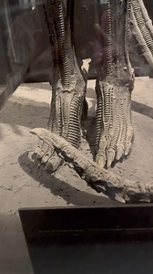 The original costume | Xenomorph Fanspage