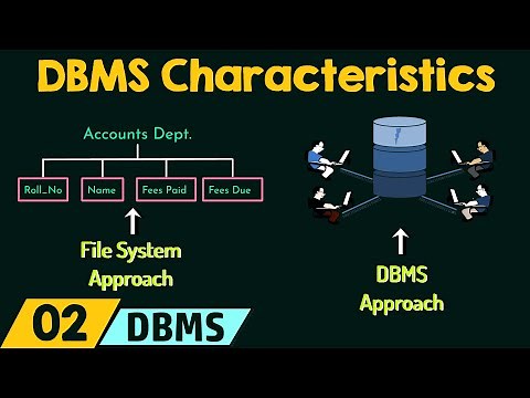 DBMS Characteristics