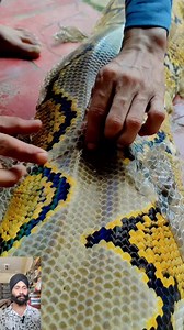 Python shed skin 🪱😮😮😮 | Srs Vlogs