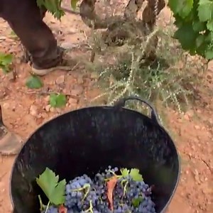 3K views | MPULSE on Reels | Facebook