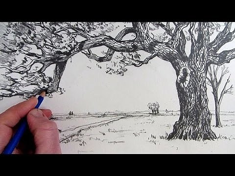 How To Draw A Tree: Narrated step by step