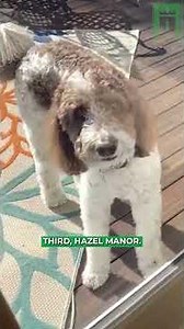 5 Incredible Kitchen Remodels Part 2 | Before & After Home Renovation Medley