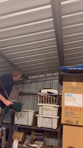 What’s more common than a Carpet Python in a shed? The answer is nothing! 🥰 Snakes absolutely love to find cosy spots to lay in sheds as they provide shelter, warmth and sometimes good food sources! They are also generally quite easy for a snake to get into. Glenn did a great job with that head knock didn't he! I'll let him give you the story in the comment section! . . . #australia #qld #snake #snakecatcher #wildlife #moretonbay #brissy #coastalcarpetpython | Moreton Bay & Brisbane Snake Catch