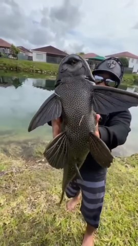 Alien fish caught in Miami!!!