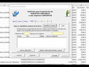 Exportar asientos a ContaPlus
