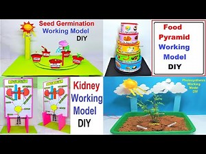 4 best science project working models 2026 innovative award winning exhibition craftpiller