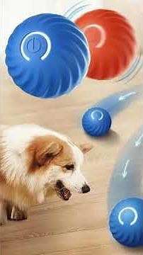Best Smart Dog Toy Ball – Electronic Interactive Moving Ball for Pets | Automatic Bouncing USB Toy