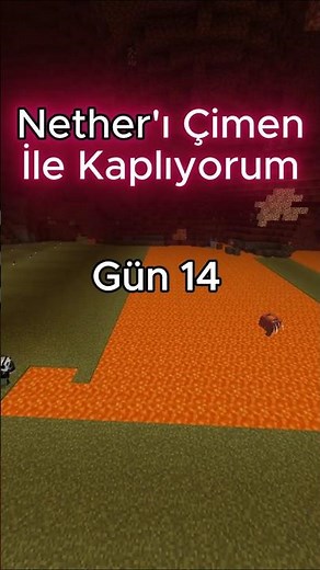 Minecraft Nether'ı Yeşillendiriyorum Gün 14 #minecraft #shorts #minecraftama
