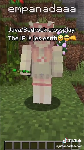 Cuentas recomendadas