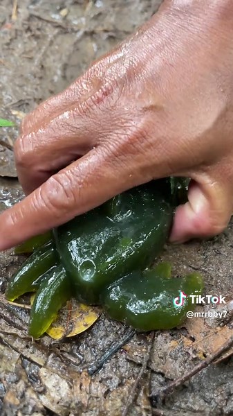 Essential Survival Skills: Preserving Soap in the Forest