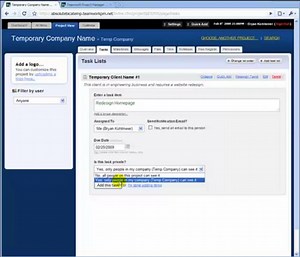 Poor Mans project management with Teamwork Project Manager
