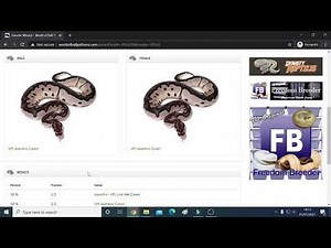 How to use the Genetic Calculator to help with you Ball Python Projects