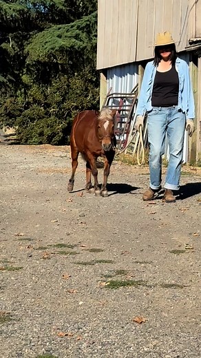 136K views · 37K reactions | I’m putting this out there, hoping that...