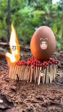 Survival Skills: Simple But Very Useful With 🥚 Jungle Egg Recipe Part-3 #survival​ #bushcraft