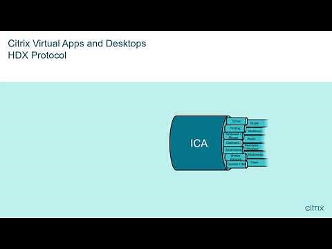 Citrix Tech Insight - Adaptive Display