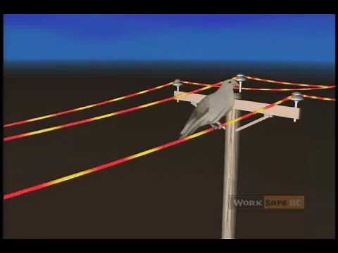 A Bright Arc: A Guide to Power Line Safety (Full-length version)