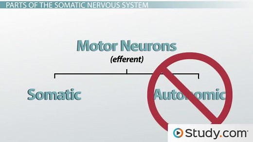 You must c C reate an account to continue watching