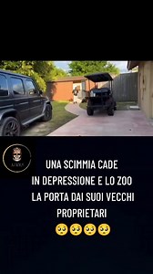 Hack the Matrix Genesis on Reels