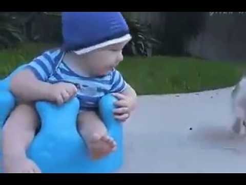 Very funny GIF, Funniest short clip, GIF