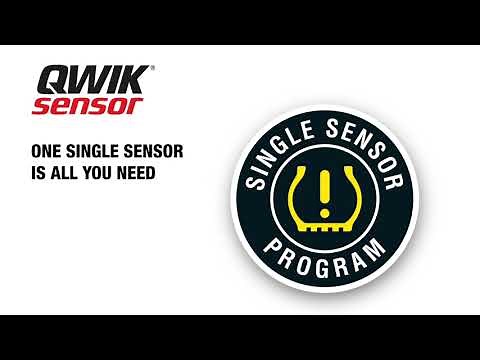 Standard® Single Sensor TPMS Program