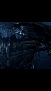417 reactions · 41 shares | ALIEN secretos revelados "Procede del...