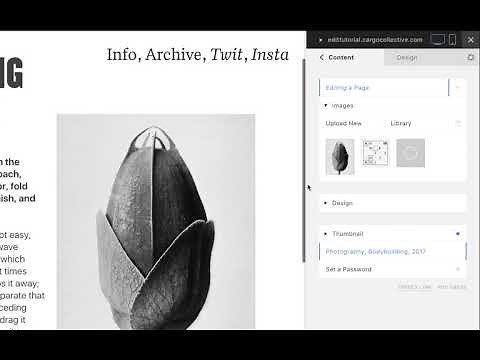 Cargo Basics – Editing Content