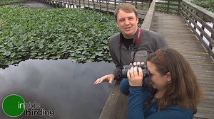 12K views · 201 reactions | Birds are often identified by color, but color PATTERN is also an essential tool when identifying birds in the field. Join birding experts Chris Wood and Jessie Barry for our Video of the Week and learn how to use color pattern to refine your bird ID skills. | Cornell Lab of Ornithology | Facebook