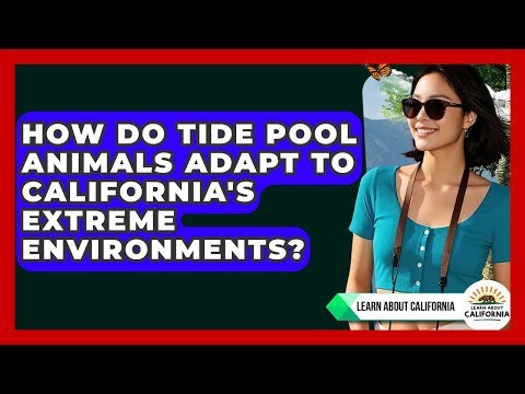 How Do Tide Pool Animals Adapt To California's Extreme Environments? - Learn About California