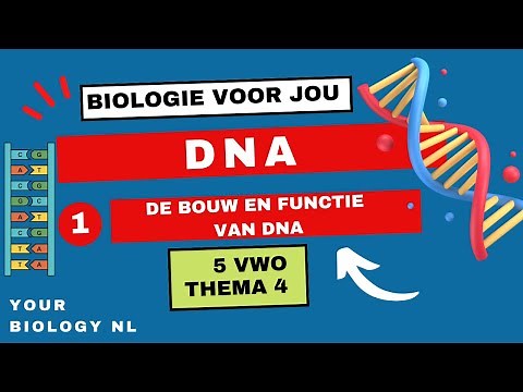 5 vwo | DNA | 1 | De bouw en functie van DNA