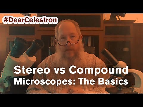 Stereo Versus Compound Microscopes: The Basics