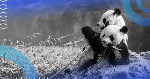 Sorting Data Frames in Pandas: A Hands-On Guide | Built In