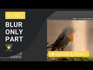 VideoPad Tutorial: How to Blur only Part of The Video in VideoPad