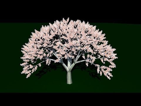 Maya 2014 Tutorial : Creating trees using Painteffects and converting them to Polygons