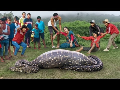 Anaconda Snake Attack Boys In Forest | An Anaconda Snake Attack Brief Story 28