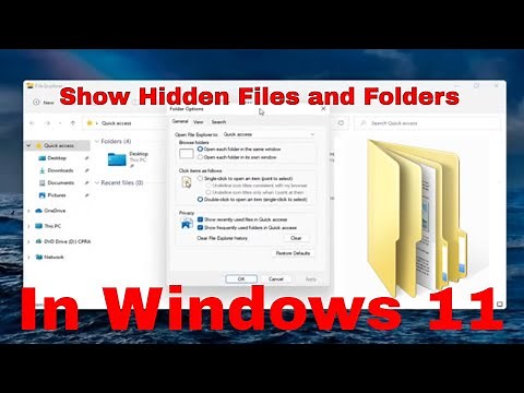How to Find Hidden Files on Windows 11 [Tutorial]
