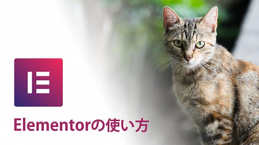 2025年Elementorの使い方【完全ガイド】 | NoCodeWeb.jp
