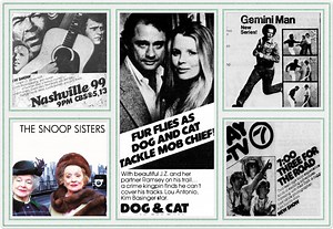 45 Short-Lived and Easily Forgotten TV Shows From the 1970s