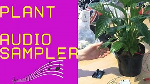 Plant sound con Arduino e Pure Data