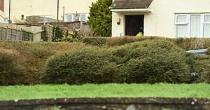 Man released on bail after murder probe