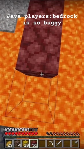 Java bridging vs Bedrock bridging #minecraft