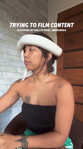 My ball python Andromeda is a blue-eyed leucistic female, and she is the more energetic of my snakes 🤍 | Inka Magnaye