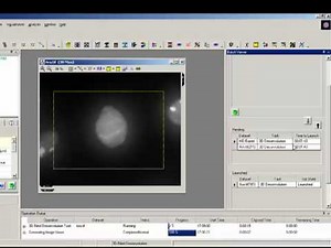 AutoQuant deconvolution Batch Processing Tutorial