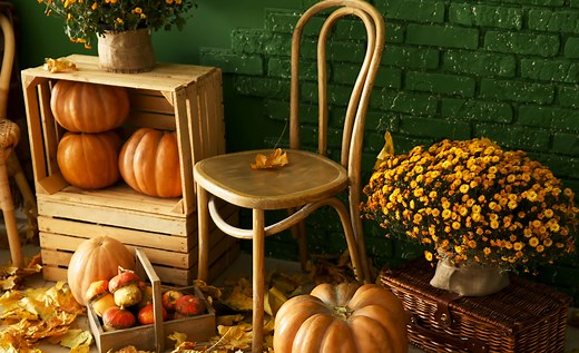 20 Fall Color Palettes for a Warm Fall Aesthetic | Looka