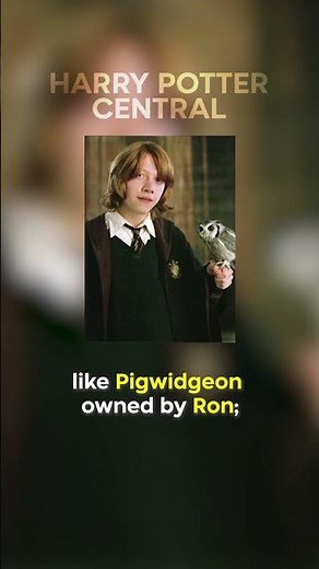 Did You Know This About The Owls In HARRY POTTER…