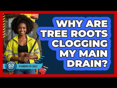 Why Are Tree Roots Clogging My Main Drain? - Plumbing DIY Daily